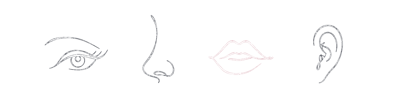 Linienzeichnungen von Auge, Nase, Lippen und Ohr nebeneinander